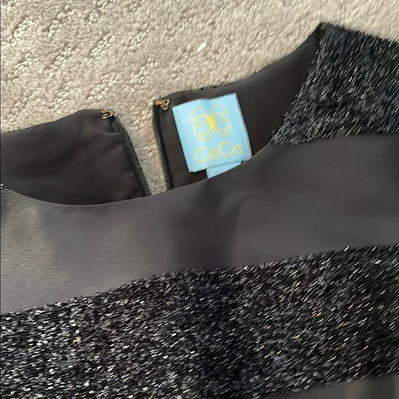 Elegant Black Striped  Dress - Picture 3 of 3